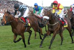 Syndicut clears website hurdle